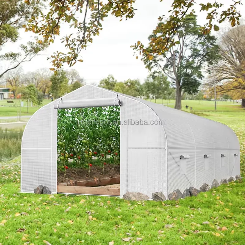 Agriculture Tomato Farming - Invernadero Agrícola de Plástico para Cultivo,