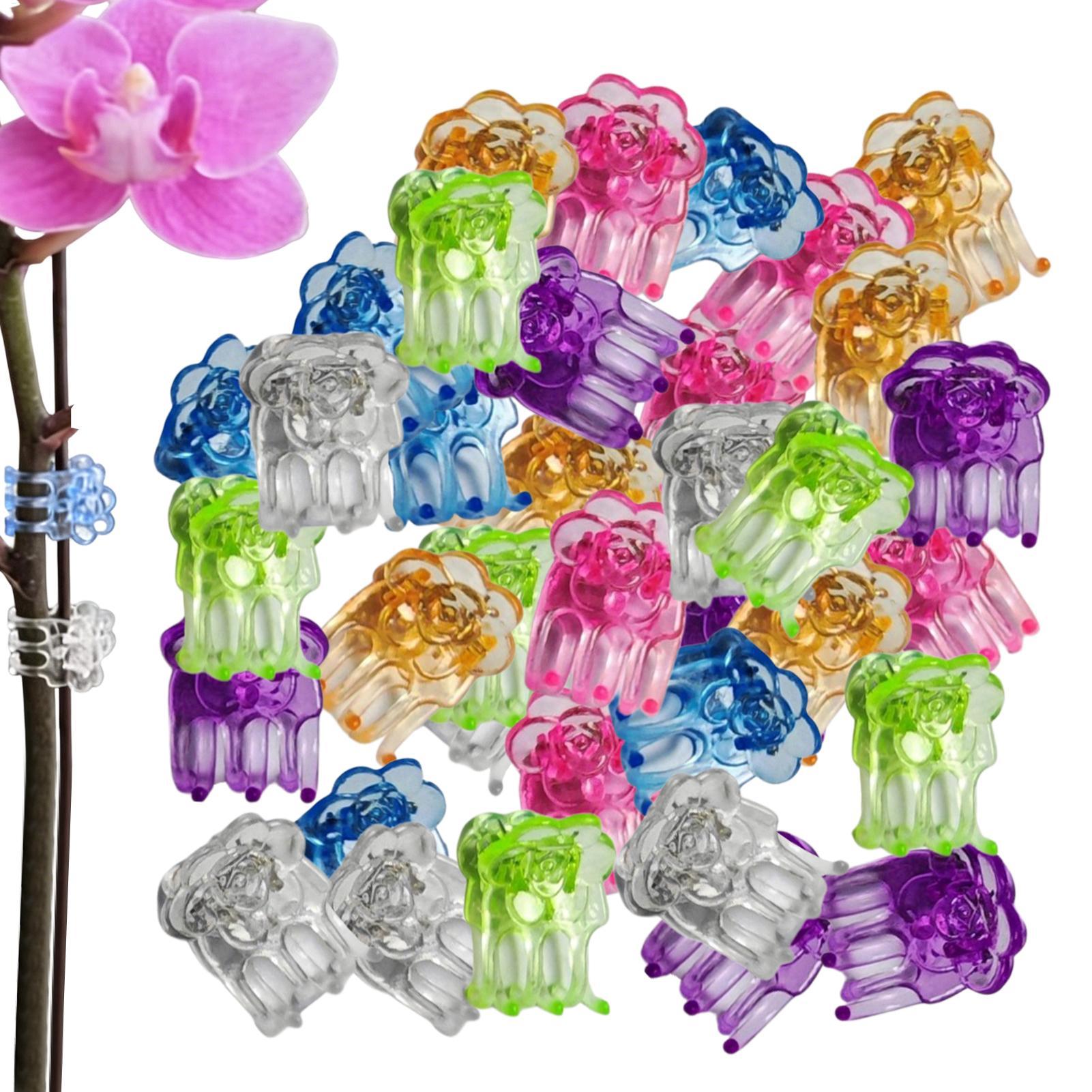 Greenhouse Plastic Film - Clips para Orquídeas, 60 Piezas, Abrazaderas