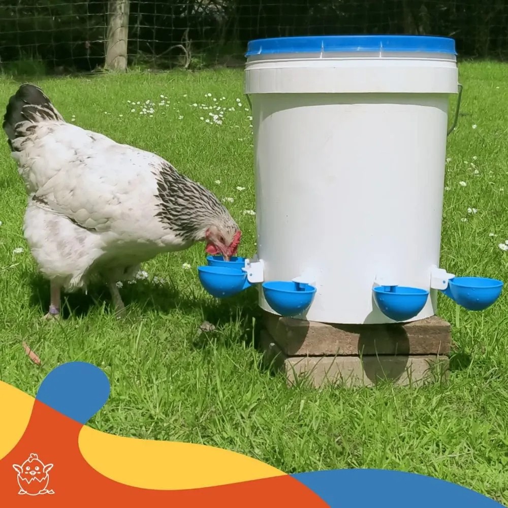 Chicken Nipple Drinker - Kit de aves de corral, alimentador