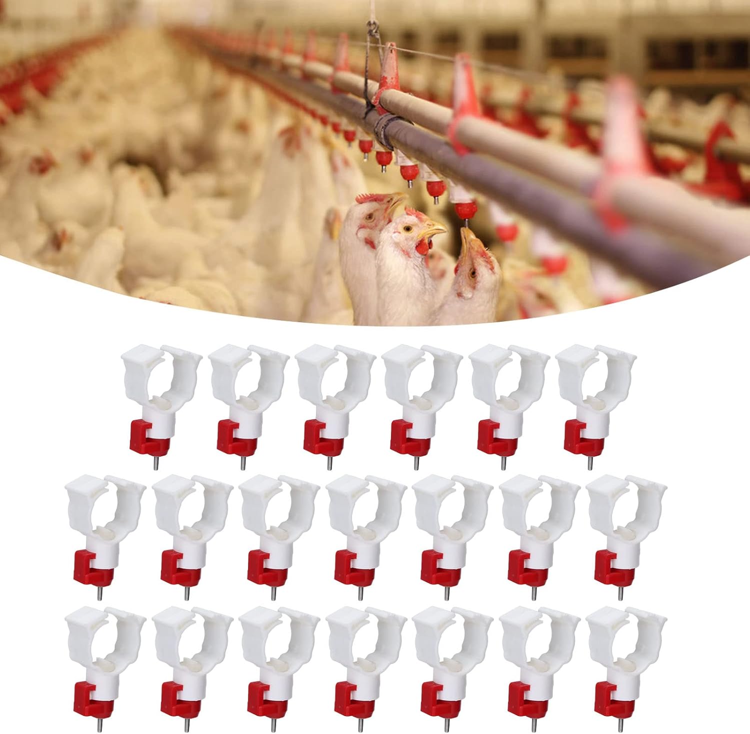 Chicken Nipple Drinker - Bebedero automático de tetina para pollo