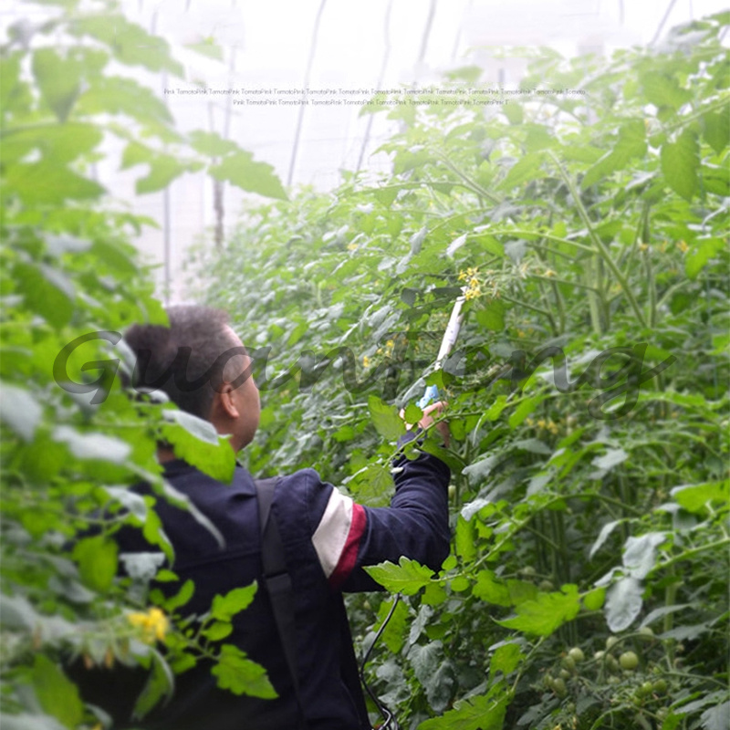 Polinizador Eléctrico Portátil - Agriculture Tomato Farming reseña y precio