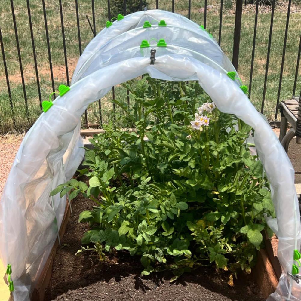 Película transparente para inv - Greenhouse Plastic Film reseña y precio