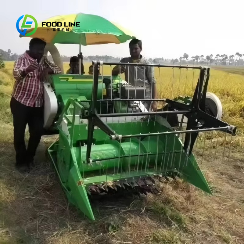 Cosechadora Agrícola Autopropu - Combine Harvester Mini reseña y precio