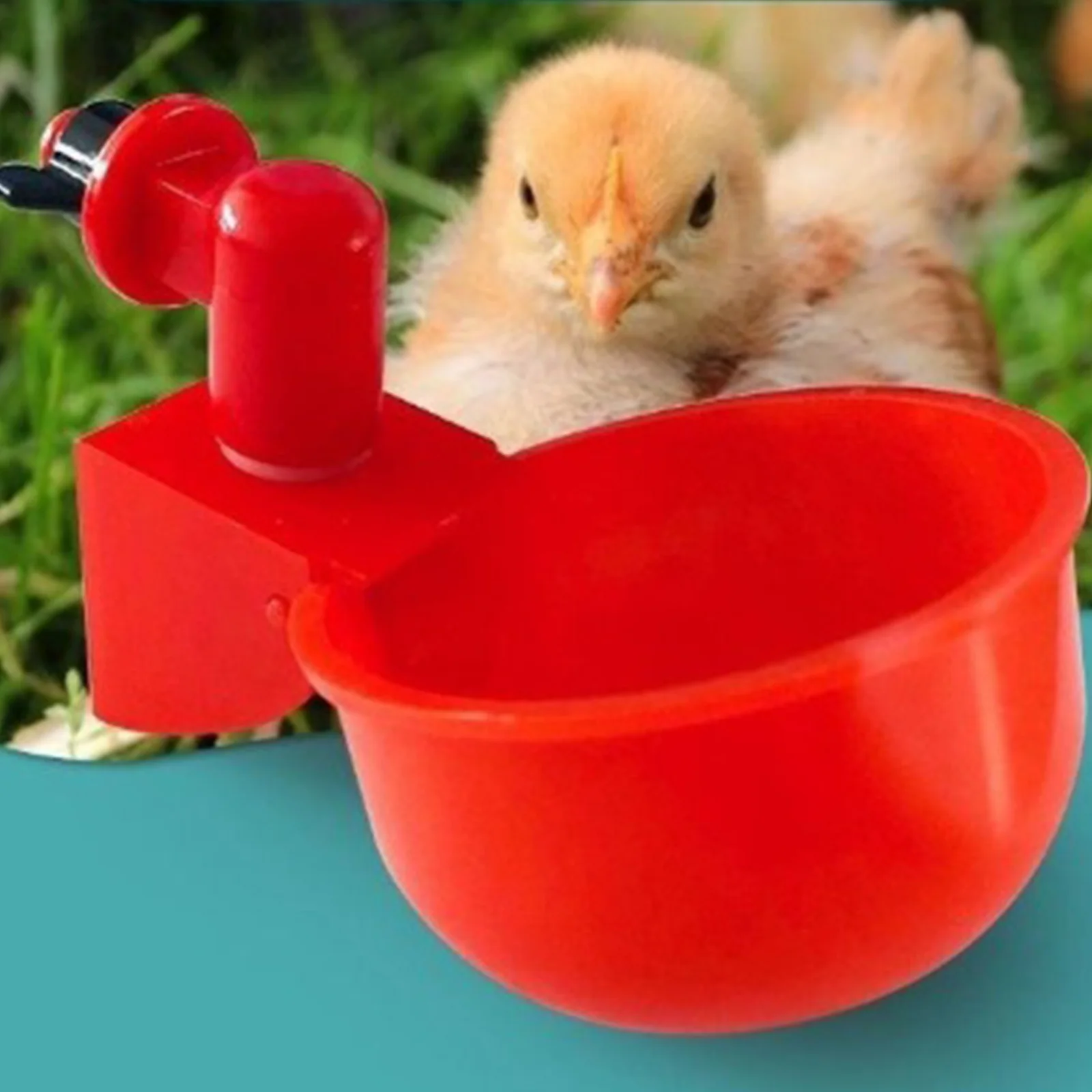 Bebedero automático para pollo - Chicken Nipple Drinker reseña y precio