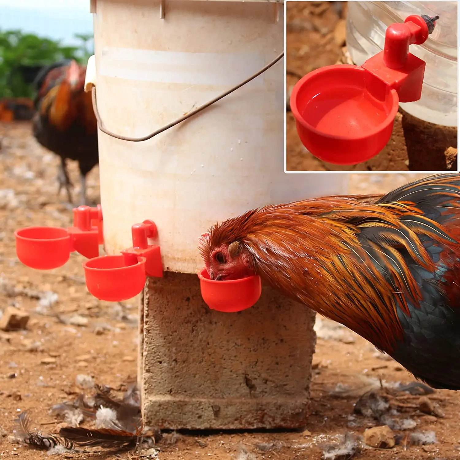 Bebedero automático para pollo - Chicken Nipple Drinker reseña y precio