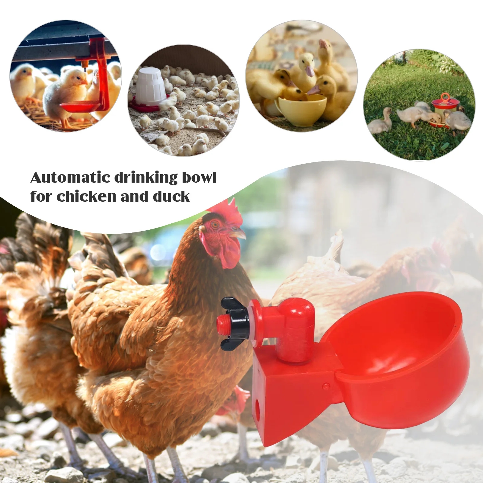 Bebedero automático para pollo - Chicken Nipple Drinker reseña y precio