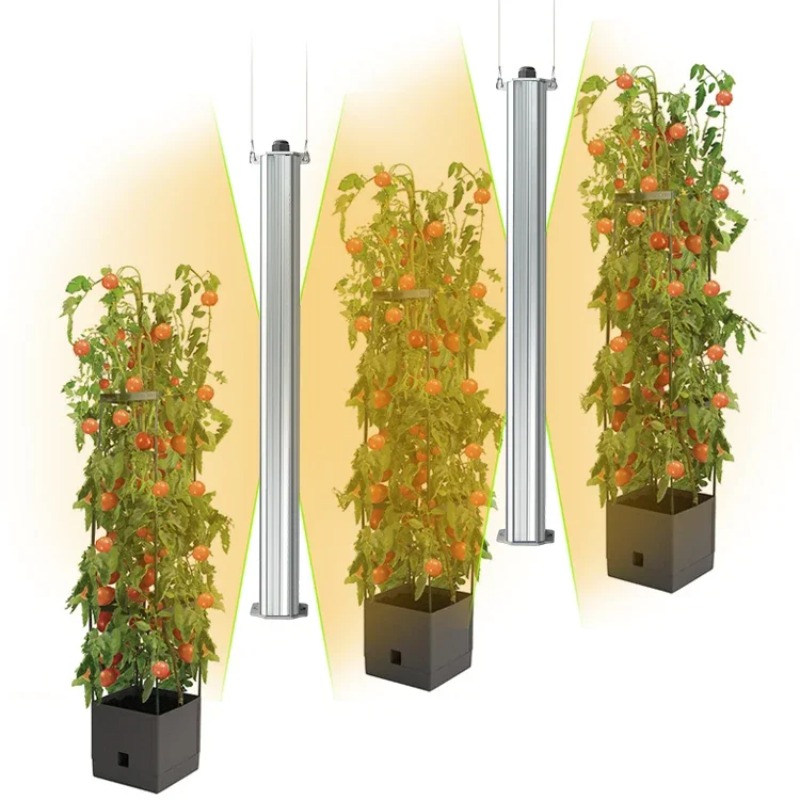 Mejor Sistema de Cultivo Verti - Agriculture Tomato Farming reseña y precio