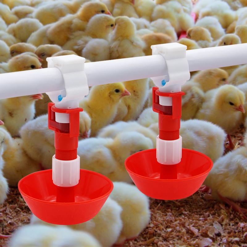 Bebedero automático con tetina - Chicken Nipple Drinker reseña y precio